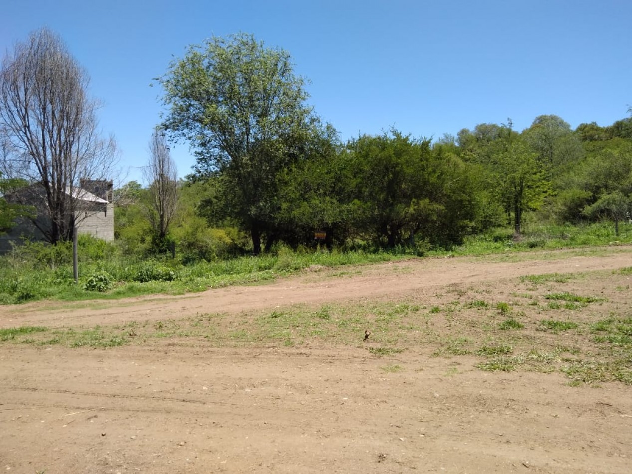 Gan lote en la rotonda de la Comuna San Roque