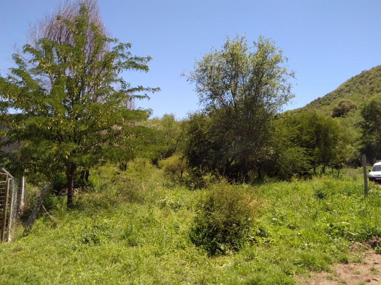 Gan lote en la rotonda de la Comuna San Roque