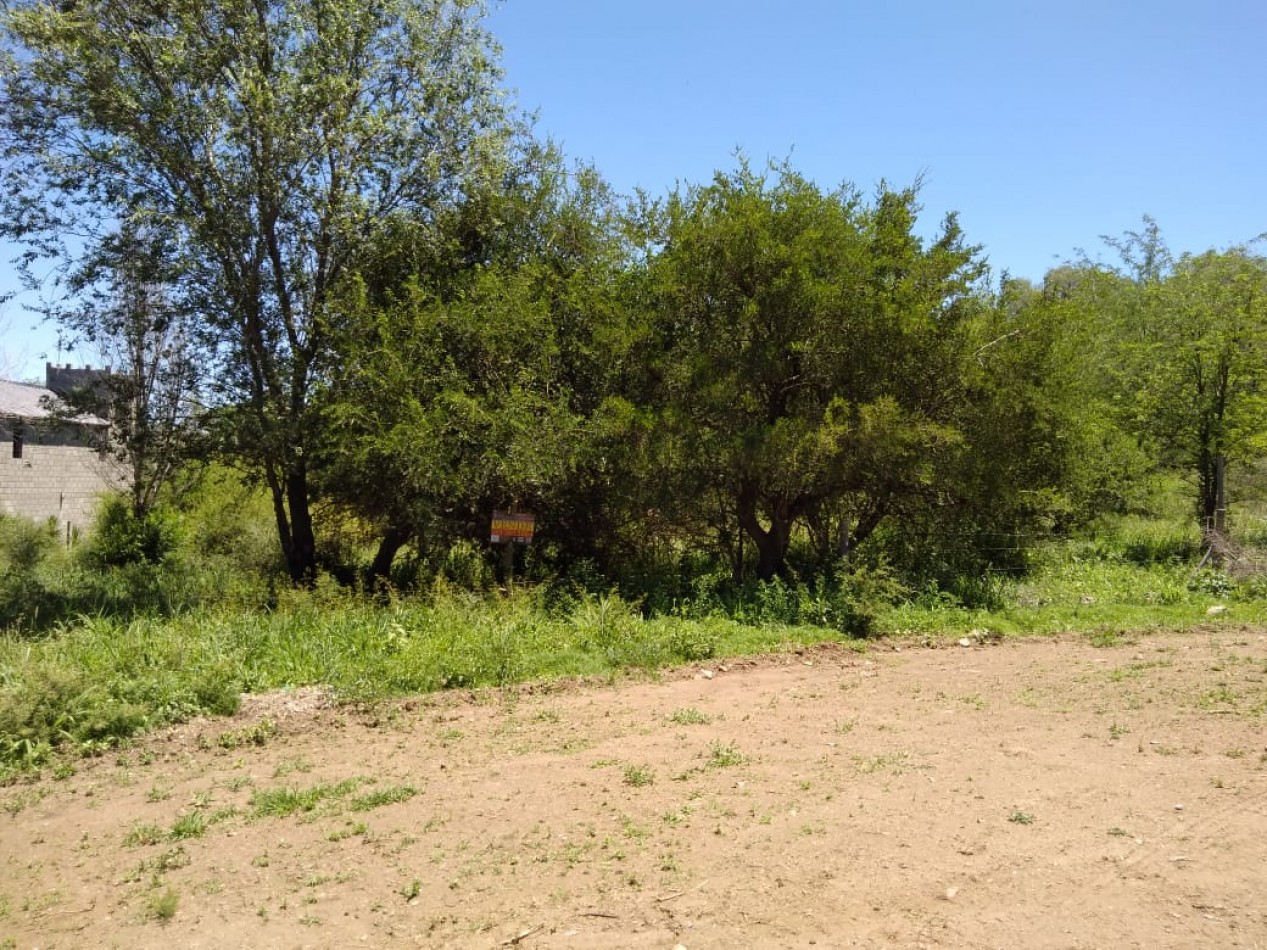 Gan lote en la rotonda de la Comuna San Roque