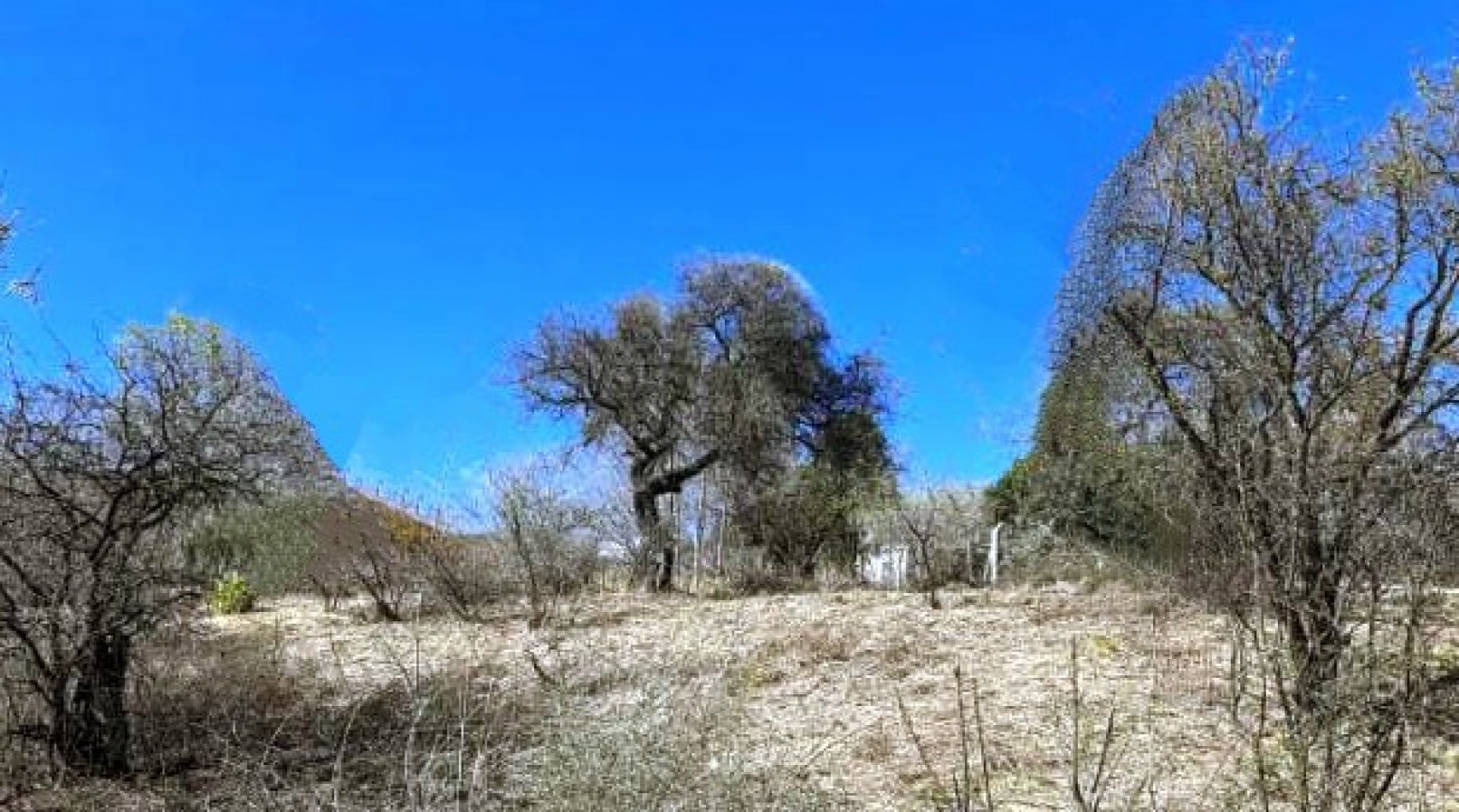 Vendo Lote Esquina 879m2 en Comuna San Roque - Punilla Cordoba