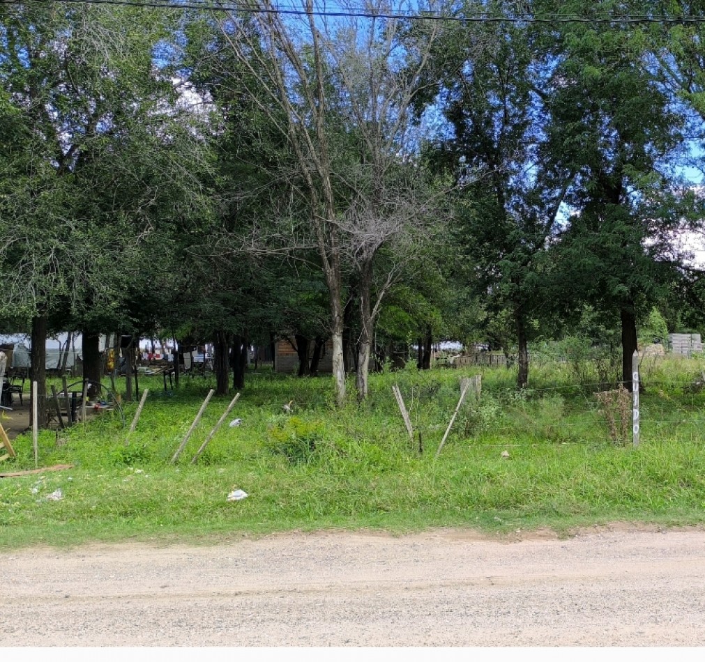 Atencion Inversionistas!  Lote de 456, 65 m² sobre Ruta E55 - Bialet Masse Cordoba _