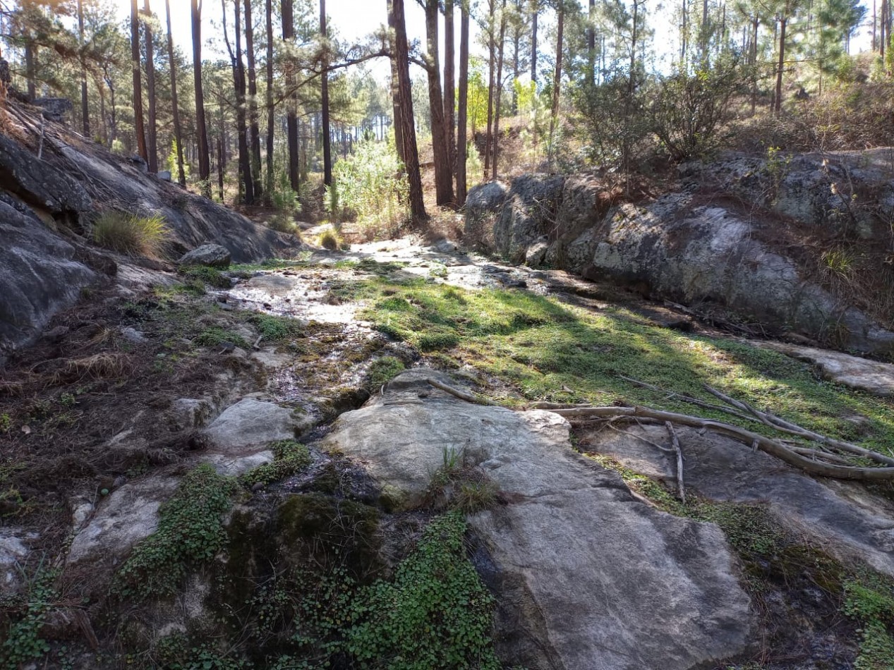 Vendo 4 lotes/ hectarea -Yacanto Calamuchita desde 9000m2 
