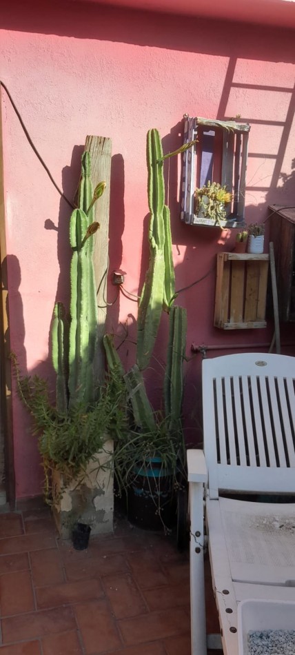 Espectacular casa en venta de 2 plantas con 5 dormitorios en Barrio Alta Cordoba