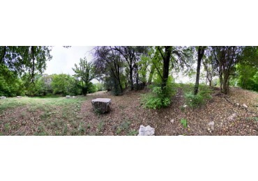 LOTE