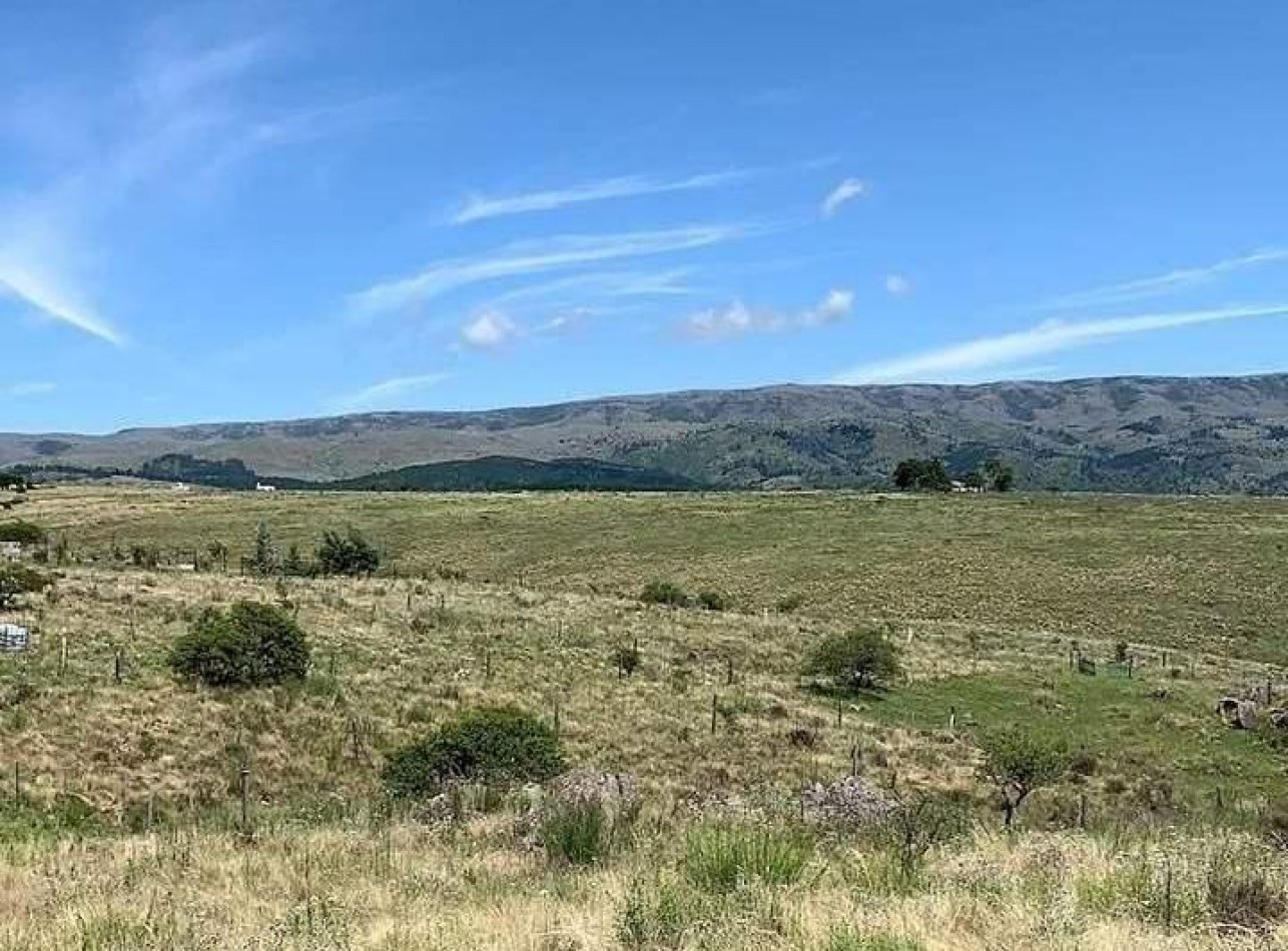 Se vende campo de 11Ha, Calamuchita